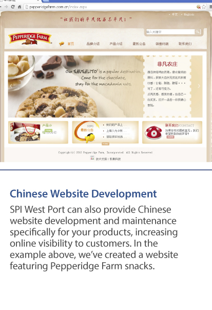 Customized websites